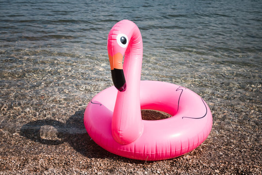 Pink Flamingo. The inflatable circle. Summer. Sea