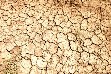 Cracks in the dry soil, drought concept