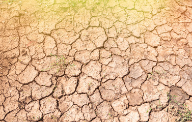 Cracks in the dry soil, drought concept