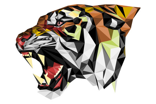 Polygones Tigre