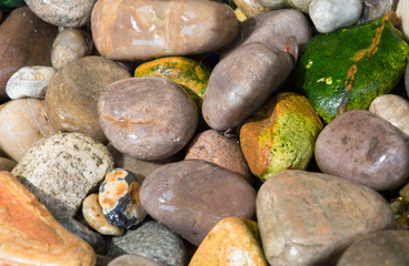Background of wet beach pebbles