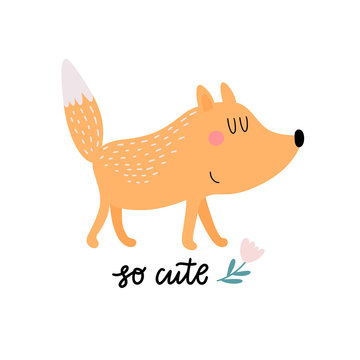 Cute fox with text background