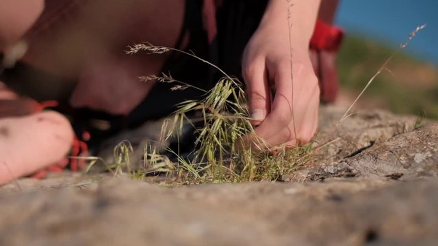 Girl's hands tearing field grass. Her blurred body in native american clothes