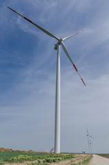 Fototapeta premium Windmills on a farm fields