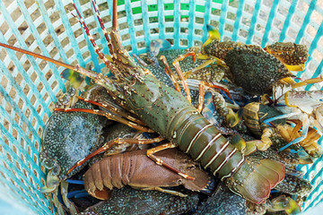 Alive Lobster with Crabs and Crayfish in the Basket, Fresh Seafood from the Sea
