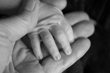 Father holding a newborn baby hand in his. Black and white child hand closeup into parent hands together.