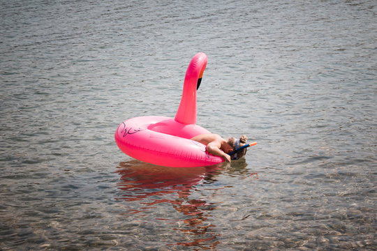 happy child girl with swimming ring flamingo