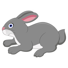 Cute rabbit cartoon