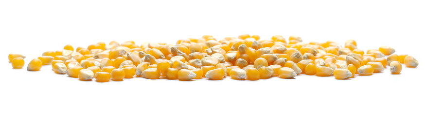 Raw corn kernels isolated on white background
