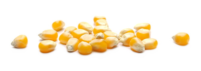 Raw corn kernels isolated on white background