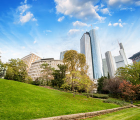 Obraz premium Frankfurt, Germany. Beautiful park with modern city skyline on a sunny day