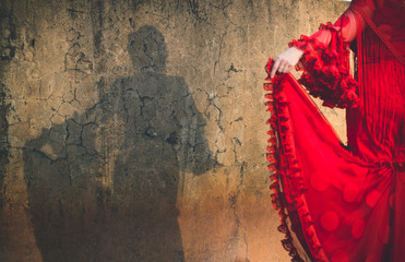 Shadow of woman dressed in flamenco dress on cracked wall. Focus in Shadow. Focus in the shadow - obrazy, fototapety, plakaty