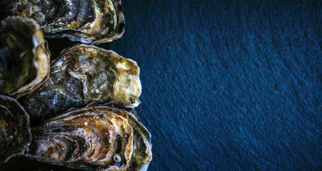 Fresh closed oysters on black background with copy place on the right top view