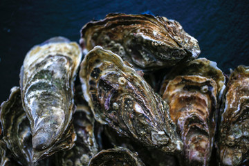 Fresh closed oysters on black background top view