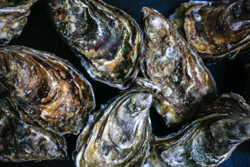 Fresh closed oysters from Cancale on black background top view