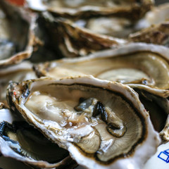 Fresh open oysters from Cancale on black background top view