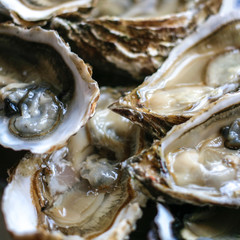 Fresh open oysters from Cancale on black background top view