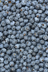 Background of fresh ripe blueberries. Close-up.
