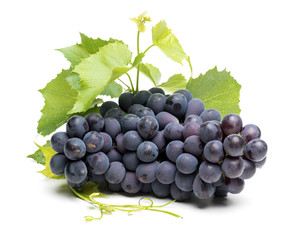 Fototapeta premium Grapes on white background
