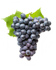 Grapes on white background