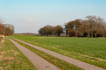 Paved pathway in sunny countryside in early spring.