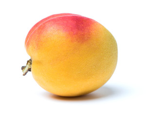 Fresh cut apricot fruits isolated on white background, with clipping path