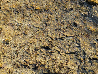 texture of sea stone on the shore