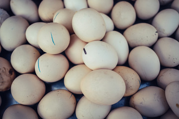 Closeup many eggs are stacked together