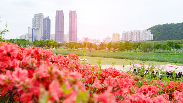 Beautiful landscape view of Taehwagang Grand Park at Ulsan Korea on April.