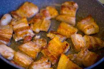 fried lard, meat in a pan , food