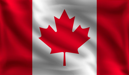 Fototapeta na wymiar Waving Canada, the flag of Canada, vector illustration