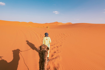 Riding a Dromedary Camel Guided by a Berber Man in Sahara Desert