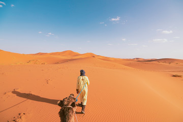 Riding a Dromedary Camel Guided by a Berber Man in Sahara Desert