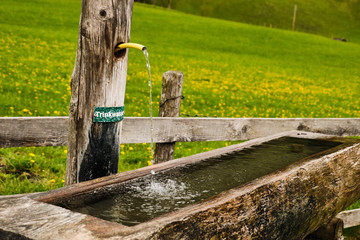 Wooden trough with trinkable water