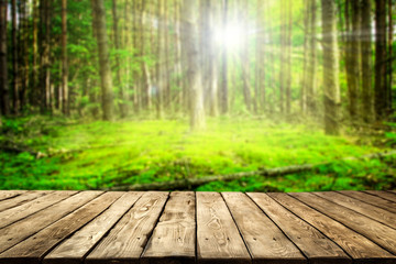 Fototapeta na wymiar Table background of free space for your decoration and summer forest background 