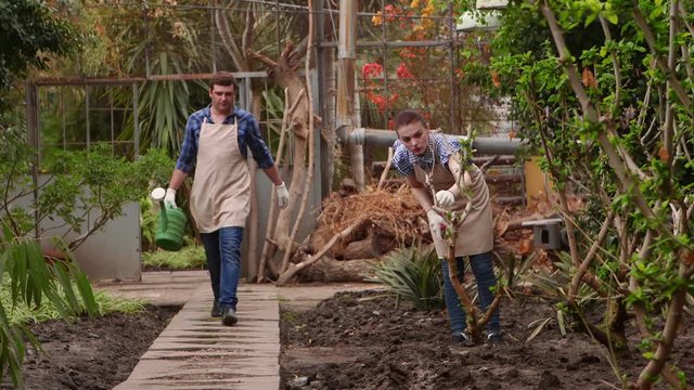Gardeners are working in the greenhouse, man is watering plants, woman is walking on path.