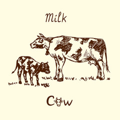Cow and calf standing side view, hand drawn doodle, sketch in pop art style, vector illustration