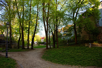 beautiful colors of nature in the spring Park
