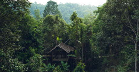 Wooden hut in the forest 
