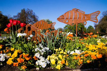 Blumenanlage im Europapark Klagenfurt am Wörthersee