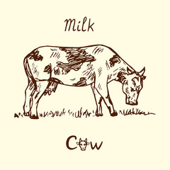 Cow standing side view, hand drawn doodle, sketch in pop art style, vector illustration