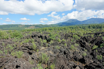 Fototapeta na wymiar Mexico Volcano Paricutin