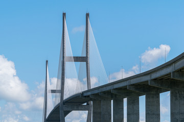Cable Bridge in Georgia, USA