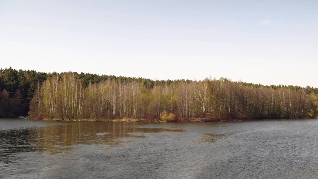 Big river, against the background of trees with sky. Spring.