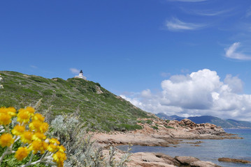 corse