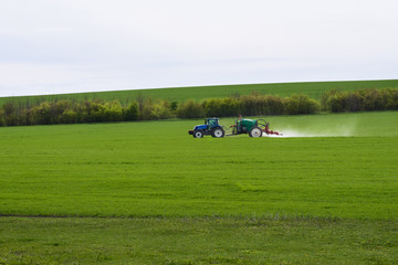 Fototapeta na wymiar Tractor with high wheels is making fertilizer on young wheat. The use of finely dispersed spray chemicals. Tractor with a spray device for finely dispersed fertilizer.