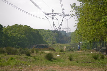 electric power line in a field