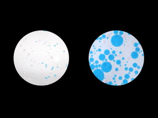 顕微鏡で見る菌　比較 © BBuilder