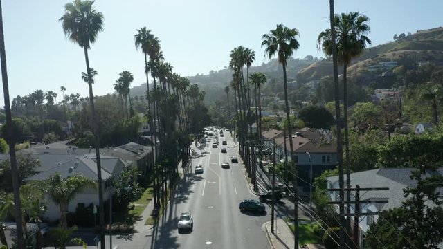 flying forward over palm tree lined Hollywood Blvd.