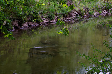 beautiful colors of nature in the spring Park